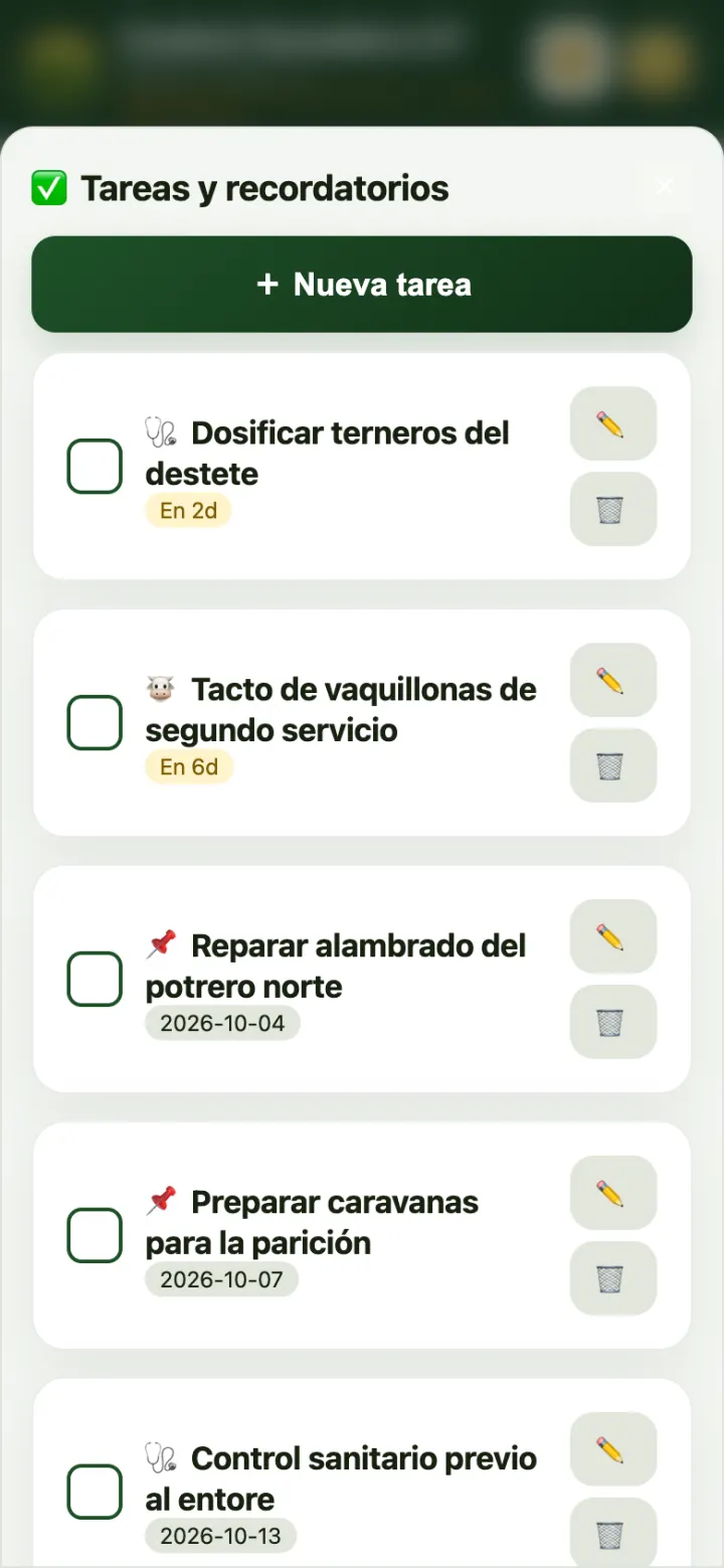 Tareas.