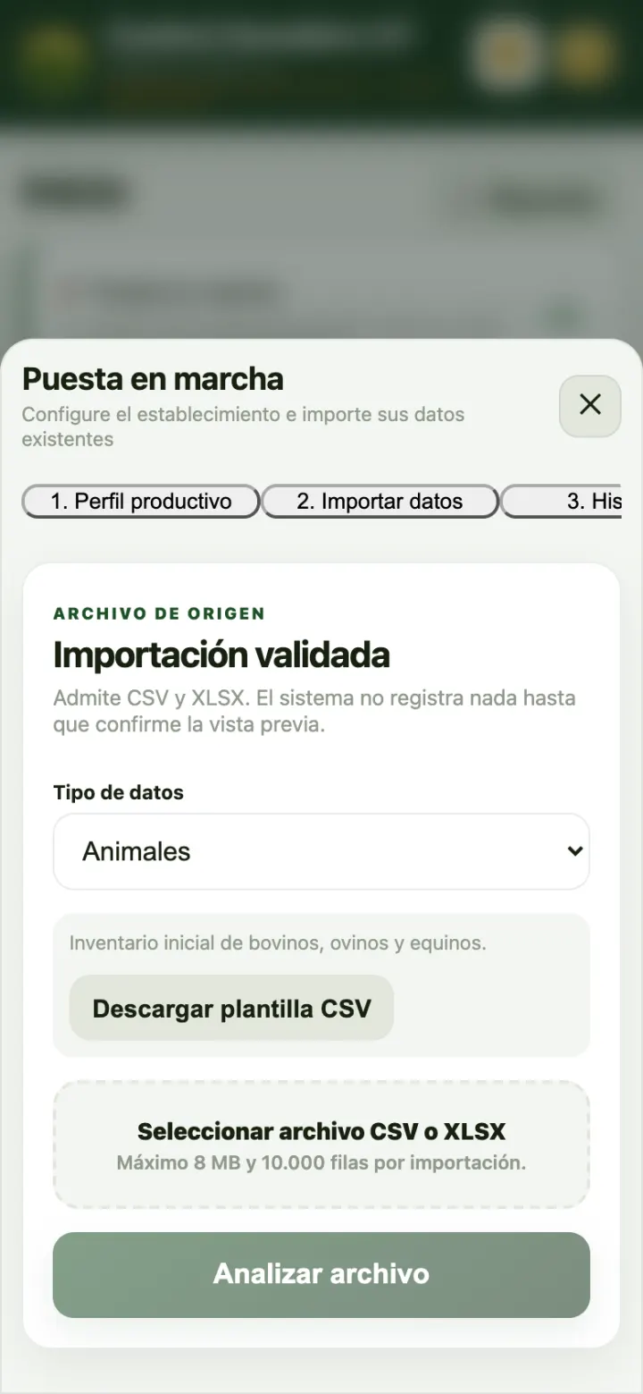 Importar datos: elegir tipo, descargar la plantilla y analizar el archivo.