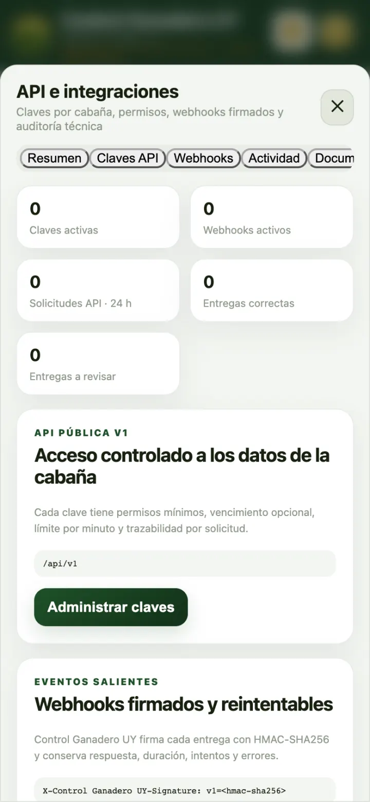API e integraciones.