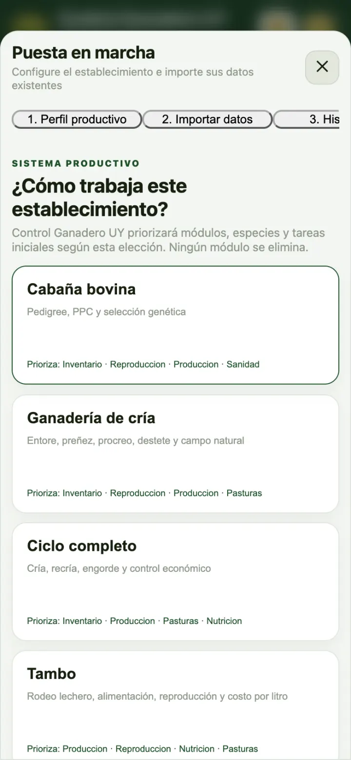 Puesta en marcha: elegir el perfil productivo.