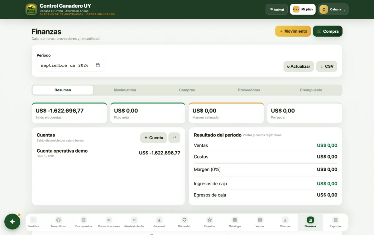 Finanzas en la computadora.