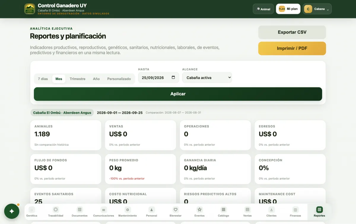 Reportes en la computadora.