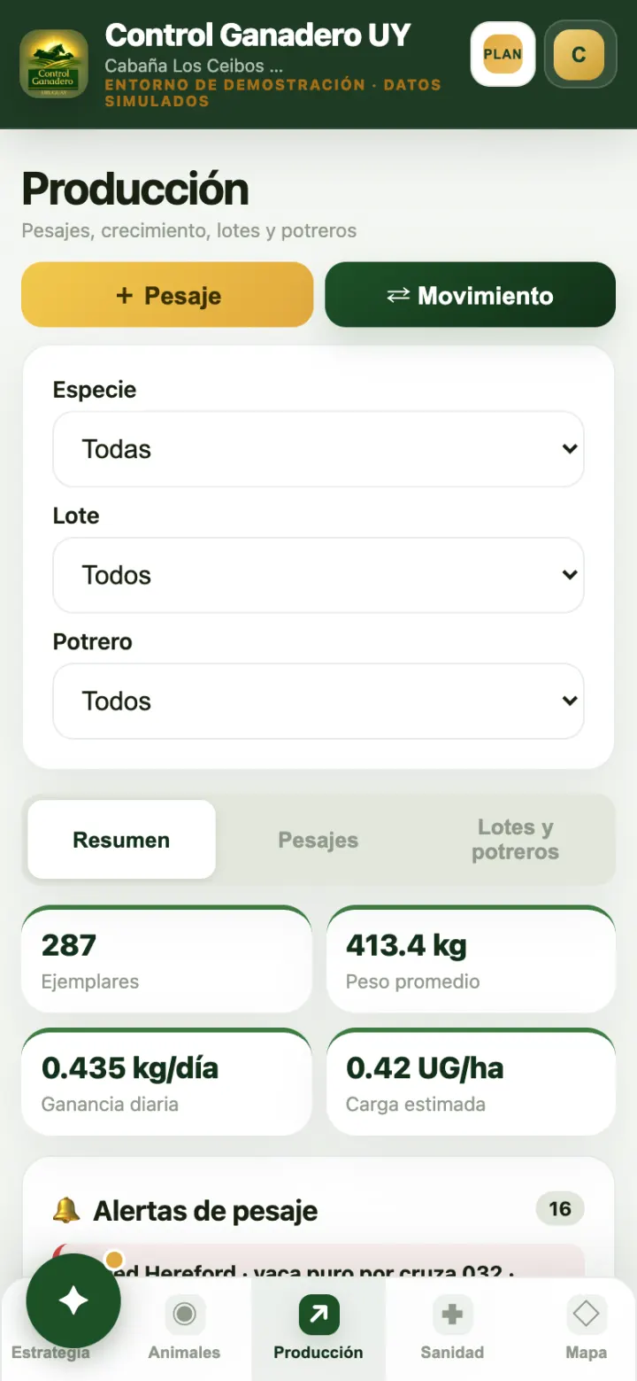 Producción en una estancia de cría.