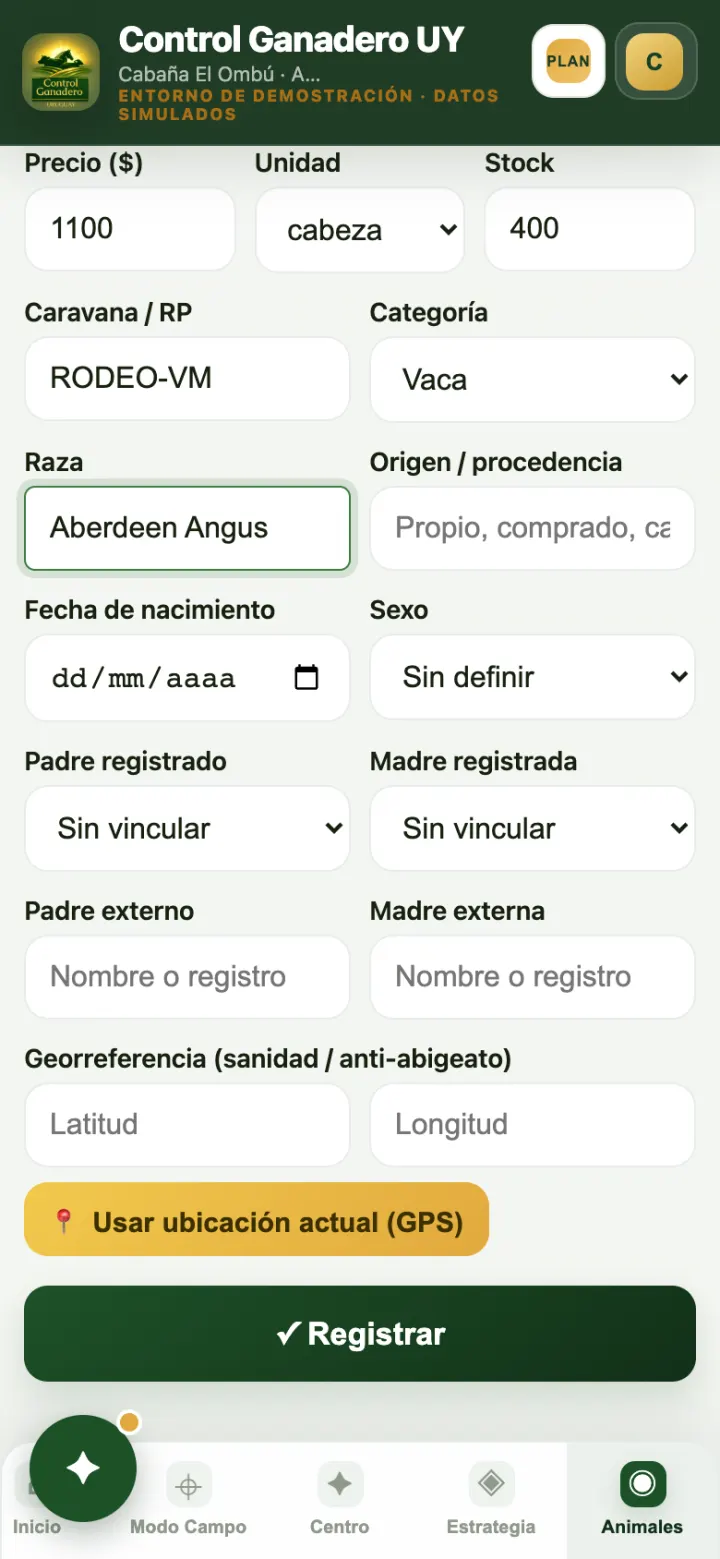 Un grupo cargado por volumen: código, categoría, cantidad y valor.